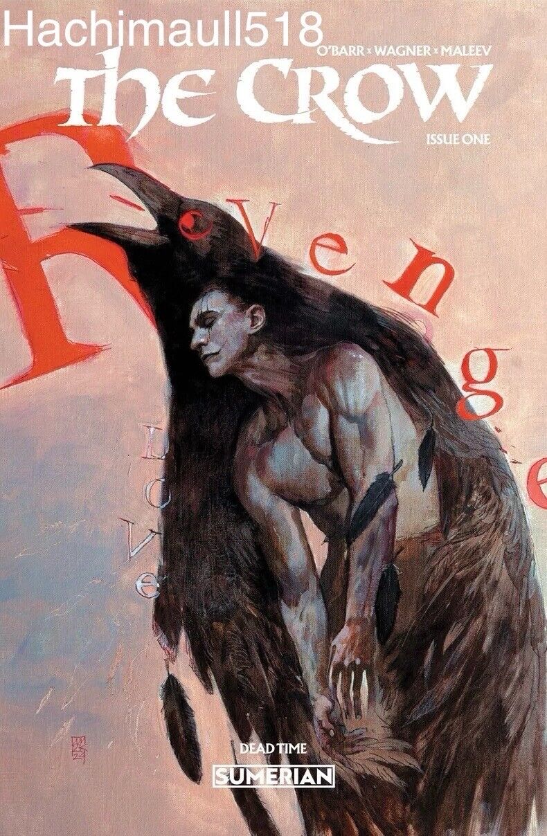 The Crow Deadtime 1 Kyle Hotz Exclusive Plus 1:25 Alex Maleev Preorder NM!