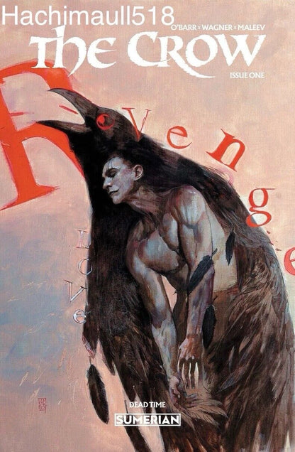 The Crow Deadtime 1 Kyle Hotz Exclusive Plus 1:25 Alex Maleev Preorder NM!