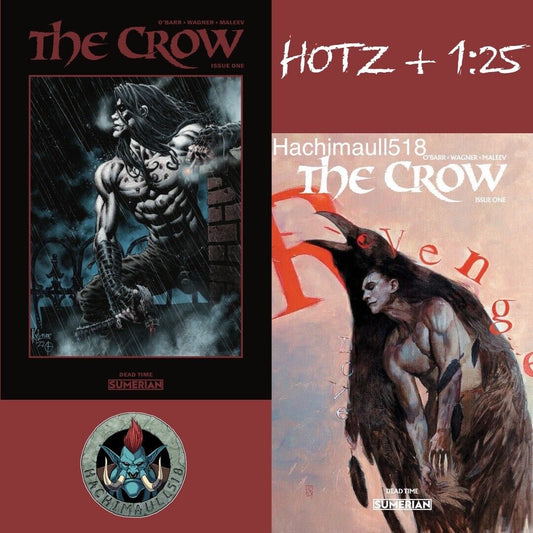 The Crow Deadtime 1 Kyle Hotz Exclusive Plus 1:25 Alex Maleev Preorder NM!